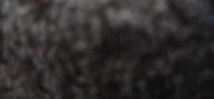 الخبر الحقيقية