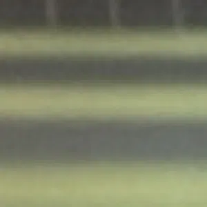 مطلوب مطلوب عجل نمساوي صغير فالعمر