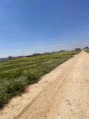 Residential Land for Sale in Amman Abu Alanda