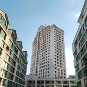 الشمري 