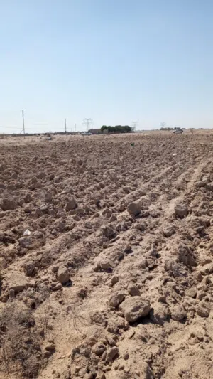 قطعة ارض للبيع في نجم الجنوبي البصرة خور الزبير المساحة 300ركن