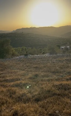 Mixed Use . 805 m2 . Landlord2