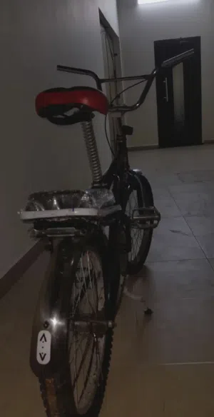 رامبو مجدد قوي لا يكلمني الا الجاد