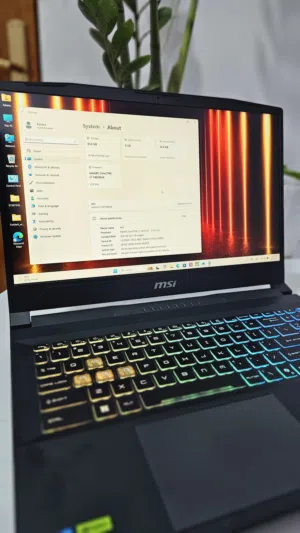 MSI Katana 15 HX B14WGK