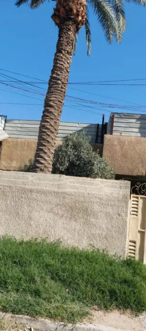 08168360 آسيا077بيت للبيع 200م الرسالةثاني فرع من الشارع قديم قابل لسكن يصلح استثمار كاايجار كل طابق