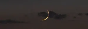 المجد للعقارات 