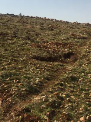 ريف دمشق قطنا على سفوح جبل الشيخ  قلعة جندل  تبعد عن دمشق 35 كم.