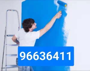 House villa apartment painting service