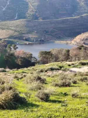 Residential Land for Sale in Jerash Al-Mastaba