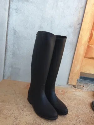 معدات قفز خيل