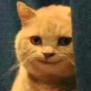 mt 