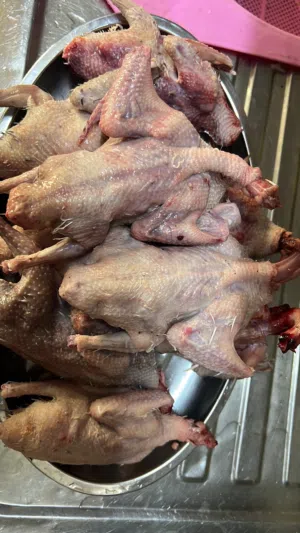 حمام  أنواع  منتج ما شاء الله السعر منسبه اسعر على حسب الحلال