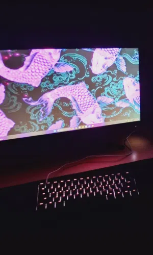BENQ MONITOR 220HZ GAMING