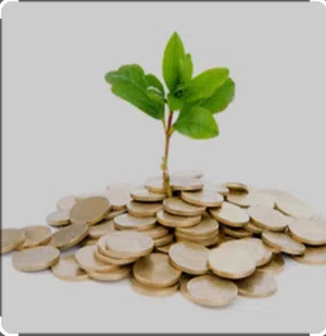 Investisseurs privés