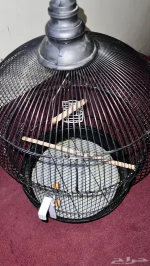 قفص للبيع اعلى سوم في الخاص