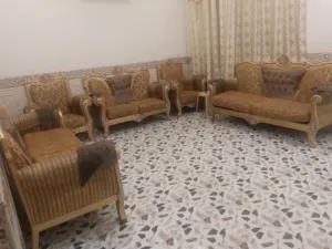 تخم للبيع
