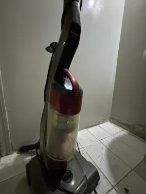 مكنسة بايسل