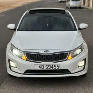 أنس حجير 
