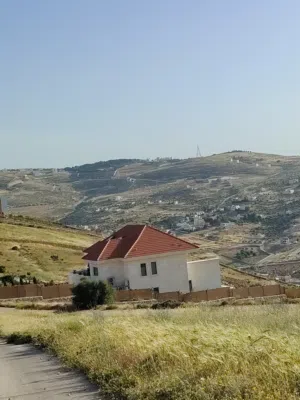 Farm Land for Sale in Zarqa Al-Kamsha