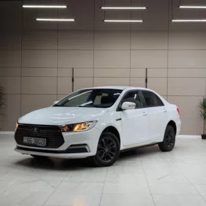 بي واي دي كين اي في 2020 BYD QIN EV 2020
