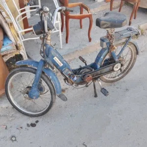تشاو للبيع