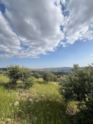 Mixed Use Land for Sale in Jerash Al-Rashaida