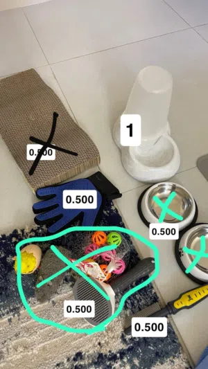 اغراض قطط للبيع