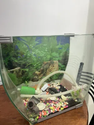 حوض أسماك للبيع