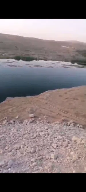 Farm Land for Sale in Mosul Rashideyih