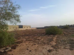 Farm Land for Sale in Misrata Tamina