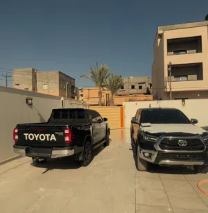 محمود الشنتيري