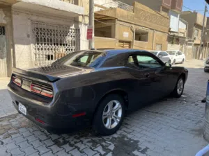 Dodge . Challenger . 2022 . Used4