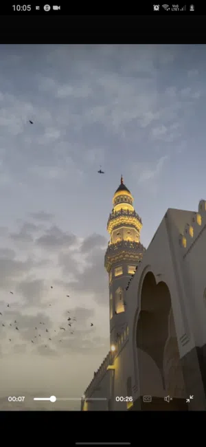 محمد 