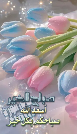 أم محمد نور محمود 