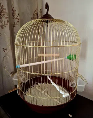 قفص عصافير أنيق وجميل