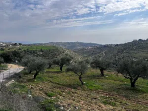 من المالك: أرض مطلة 8.8 دنم في المغاريب - السلط