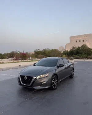 التيما 2019 ممتازة