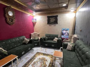 تخم قنفات لبيع