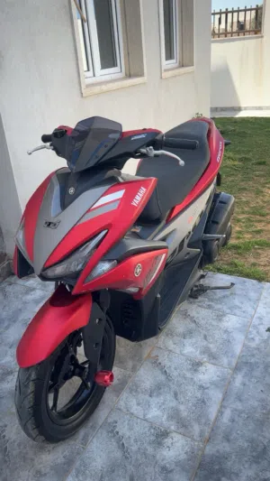 155 2019 سفار مقورجة