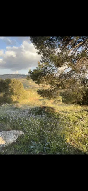 قطعه ارض للبيع