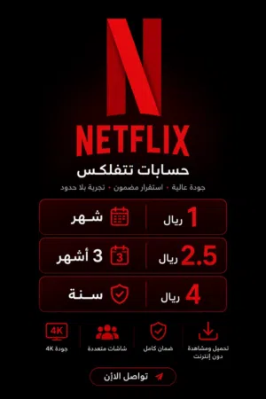 Netflix Accounts and Characters for Sale in Al Sharqiya