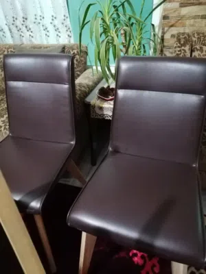 كراسي سفره عدد 6 خشب زان