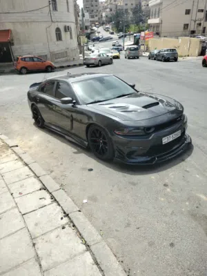 ضياء ثلجي 