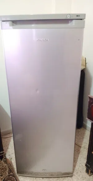 فريزر هونداي عمودي جوارير