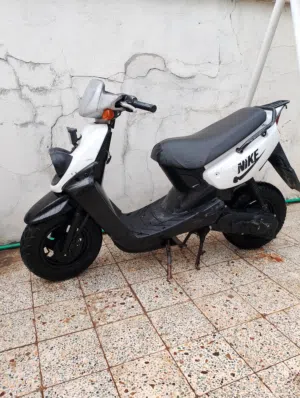 اكزز جبلي للبيع