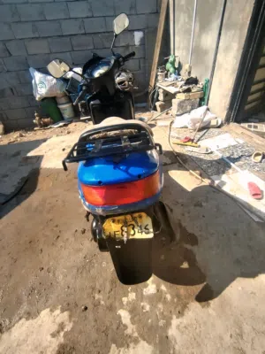 فراشه فحل للبيع تفاصيل بل وصف