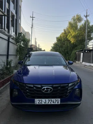 توسان 2022 اربيل