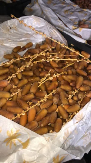 تمر دقلة ودان نص لمعة للبيع مستعجل اقرا الوصف