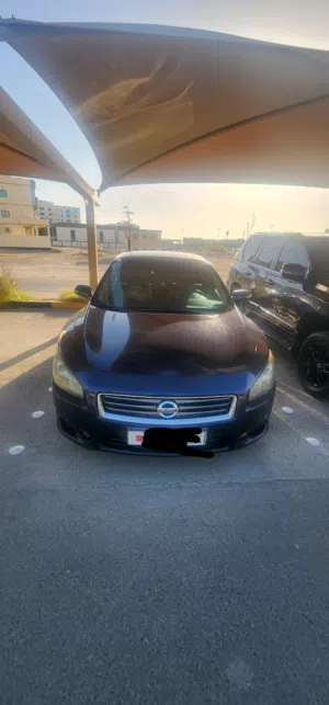 Nissan Maxima 2013