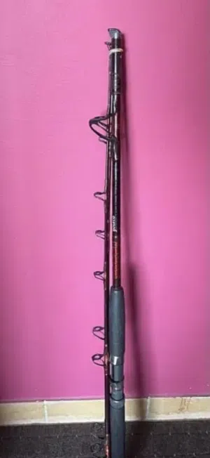 عصا/ بوصة/ Fishing rod